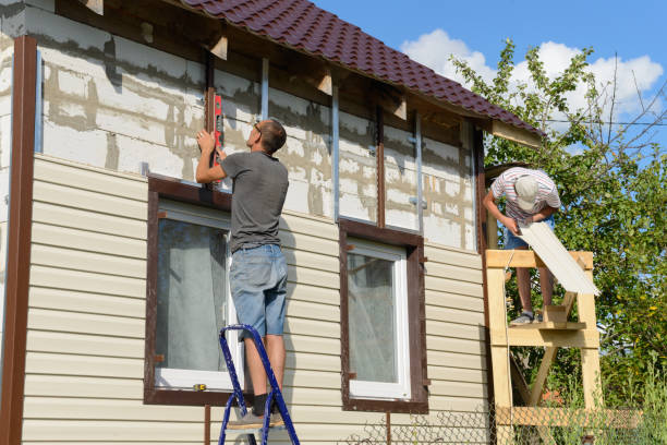 Best Custom Siding Design  in The Meadows, FL