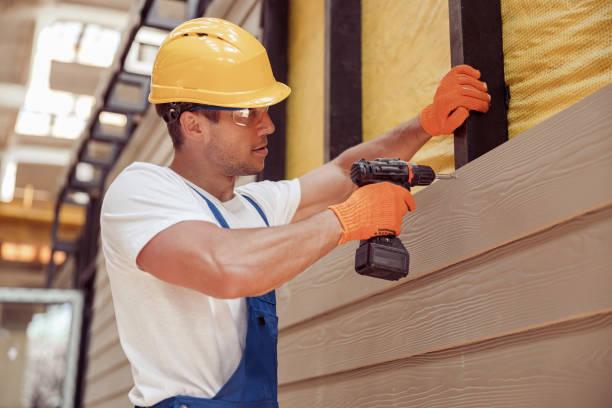 Best Custom Trim and Detailing for Siding  in The Meadows, FL